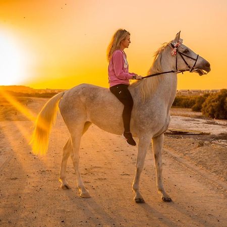 Pura Eco Retreat, Jubail Island Hotell Abu Dhabi Eksteriør bilde